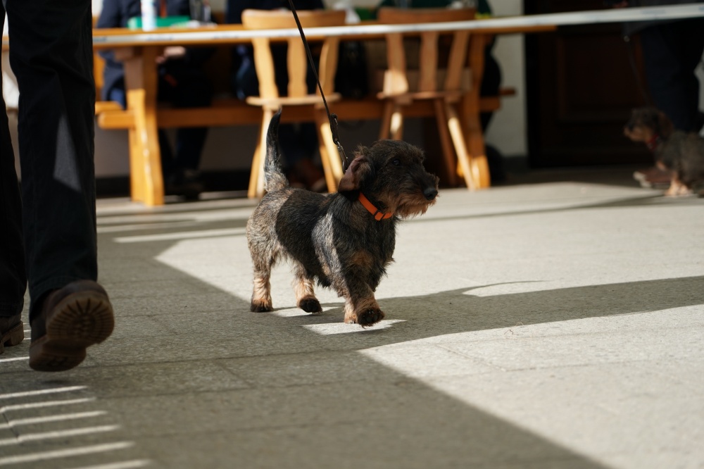 s_A9_09627.jpg